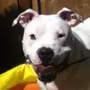 Stephen Baines - @stephen.baines - TikTok