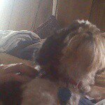 Stephen Bair - @stevenbair84 - Instagram