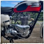 Stephen Baker - @trumpetrider650 - Instagram