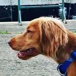 Stephen Ball - @toby_the_legend01 - Instagram