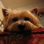 Stephen Baloga - @stephenbaloga - Instagram