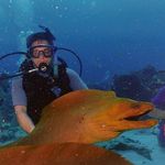 Stephen Baranian - @stephenbaranian - Instagram
