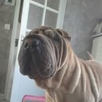 Stephen Barbaut - @stephenbarbaut - Instagram