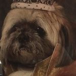 Stephen barlow - @stephenbarlow77 - Instagram