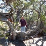 Stephen Barlow - @stephen.barlow.142 - Instagram