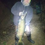 Stephen Barnum - @b.man.101 - Instagram