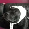Stephen Barry - @stephen.barry - TikTok