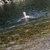 stephenbarter585 - @stephenbarter585 - TikTok