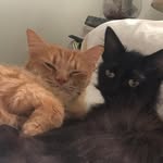 Stephen Bartholomew - @stephen.bartholomew.735 - Instagram