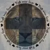 Stephen Stevie Barth - @sigma0707 - TikTok