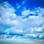 Stephen Bastienne - @bastiennestephen - Instagram