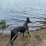 Stephen Bate - @stephenbate2006 - Instagram