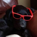 Stephen Bate - @bate_stephen - Instagram