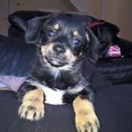 Stephen Bate - @stephen.bate1968 - Instagram