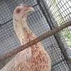 stephenbateman362 - @stephenbateman362 - TikTok