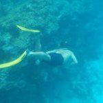 Stephen Bates - @oi_stephen - Instagram