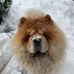 Stephen Bator - Facebook