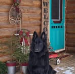 Stephen Bauer - Facebook