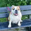 Stephen beardsley - @stephen.beardsley12 - TikTok