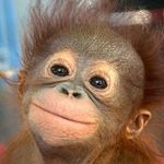 Stephen Beardsley - @stephen_beardsley - Instagram