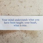 Stephen Beaver - @cook4tristen - Instagram