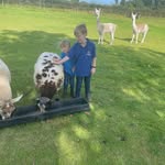 Stephen Beers - @babytracks - Instagram