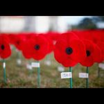 Stephen Beesley - @beesley.stephen - Instagram
