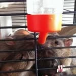 Stephen Belton - @stephen.belton.12 - Instagram