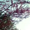 Stephen Beltran - @stephenb42 - TikTok