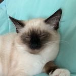 Stephen Benecke - @beneckestephen - Instagram