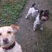 Steve Benko - Facebook