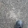 Stephen Bergeron - @stephenbergeron926 - TikTok