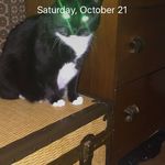 Steven Bergeron - @steven.bergeron.77 - Instagram