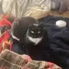 Steven Bergeron - @steven.bergeron82 - TikTok
