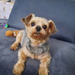 Steven Bernhardt - @bernhardt7083 - Instagram