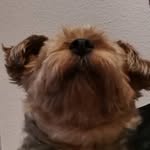 Steven Bernhardt - @stevenbernhardt860 - Instagram