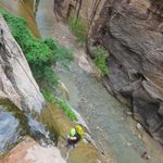 Stephen Berta - @the_berta - Instagram
