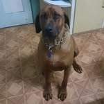 Stephen Bethune - @bethunestephen - Instagram