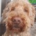Stephen Bethune - Facebook