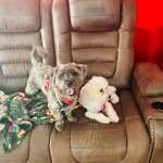 Stephen Beyer - @stephen.beyer.56 - Instagram