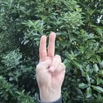 Stephen Bibby - @stephenbibby500 - Instagram