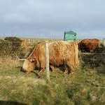 Stephen Billington - @stephenbllngtn - Instagram