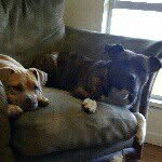 Stephen Derek Binion - @stephenbinion - Instagram
