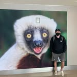 Stephen Birch - @birchy_4 - Instagram