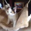 stephenbirtwistle - @stephenbirtwistle - TikTok