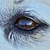 Steve Bixler - Facebook