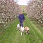 Stephen Bliss - @stevebliss111 - Instagram