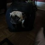 Stephen Bliss - @bliss3386 - Instagram