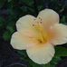 Stephen Blom - Facebook