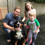 Stephen Blomgren - @stephenblomgren - Instagram